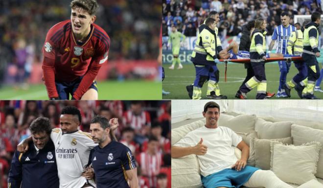 的草皮标准 的草皮标准